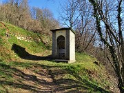 MONTE ZUCCO (1232 m) ad anello da casa-Zogno (300 m) con festa di fiori (17mar21)  - FOTOGALLERY